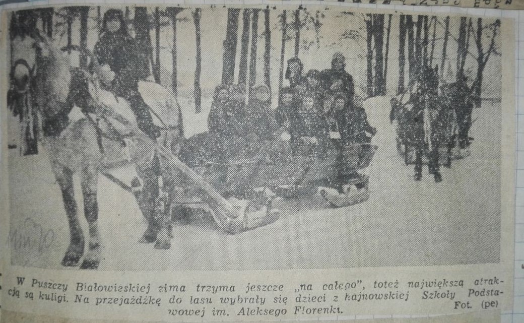 Kulig po puszczy
