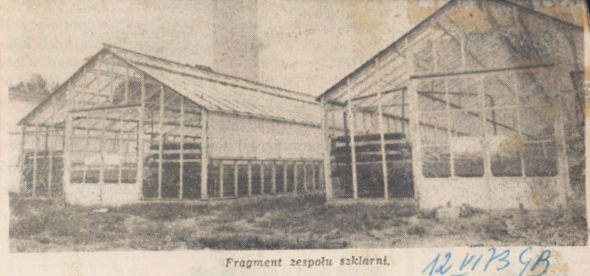 skan czarno-białego zdjęcia, na którym widnieją dwie szklarnie miejskie